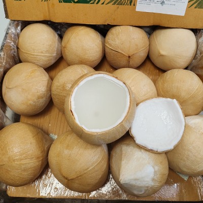 整件泰国进口椰皇大果新鲜椰子去皮椰青小椰皇香水椰子椰王图4