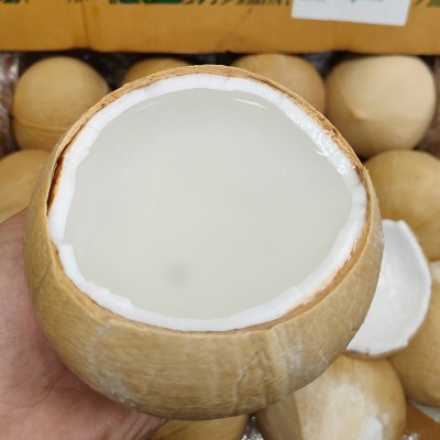 整件泰国进口椰皇大果新鲜椰子去皮椰青小椰皇香水椰子椰王图3