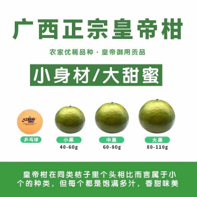 一件代发正宗广西武鸣皇帝柑直发新鲜水果现摘现发甘甜多汁批发图2