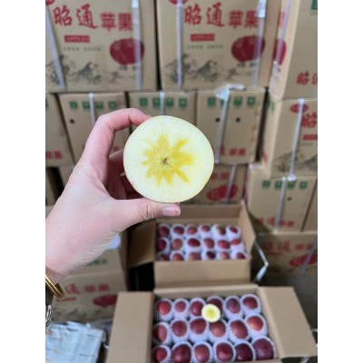 云南昭通丑苹果新鲜糖心富士丑苹果纯甜无酸新鲜糖心一件代发图3
