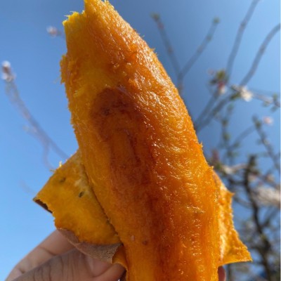 山东烟台烟薯25蜜薯烤红薯现挖现发一件代发图1