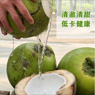 海南带皮椰青新鲜椰子4斤起孕妇水果补羊水厂家现摘现发免邮图3