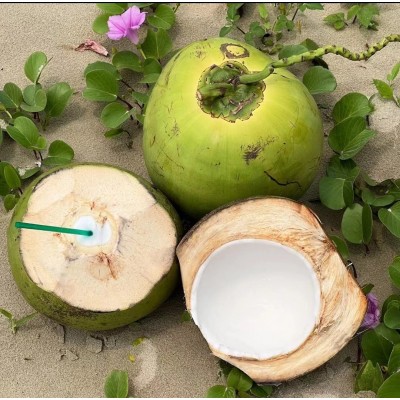 海南带皮椰青新鲜椰子4斤起孕妇水果补羊水厂家现摘现发免邮图2
