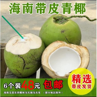 海南带皮椰青新鲜椰子4斤起孕妇水果补羊水厂家现摘现发免邮图1