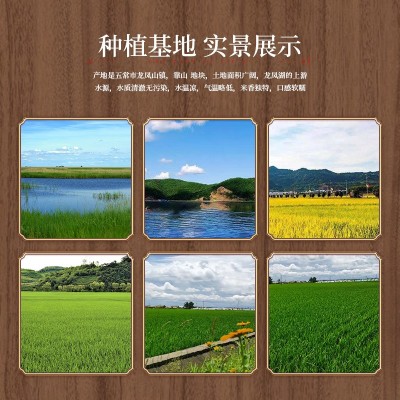 2023新米东北黑龙江五常大米稻花香2号大米5kg10斤现磨厂家批发图4