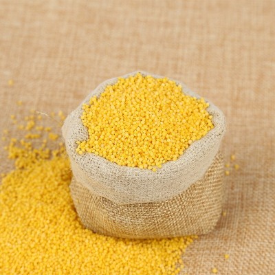 厂家批发 内蒙古赤峰敖汉高油黄新小米宝宝月子小米粥食用小米5斤图3