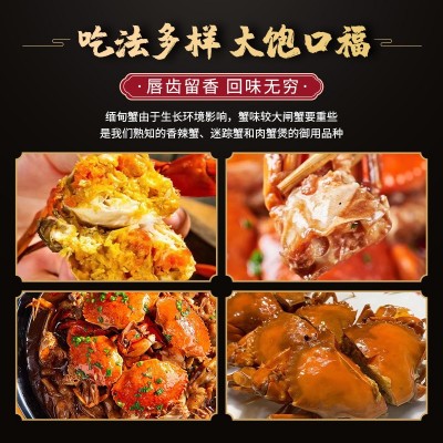 螃蟹肉蟹 缅甸蟹空运 孟加拉青蟹膏蟹 鲜活水产海鲜批发1.5两 2两图4