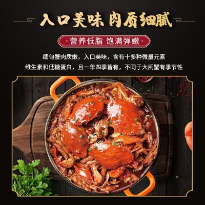 螃蟹肉蟹 缅甸蟹空运 孟加拉青蟹膏蟹 鲜活水产海鲜批发1.5两 2两图3