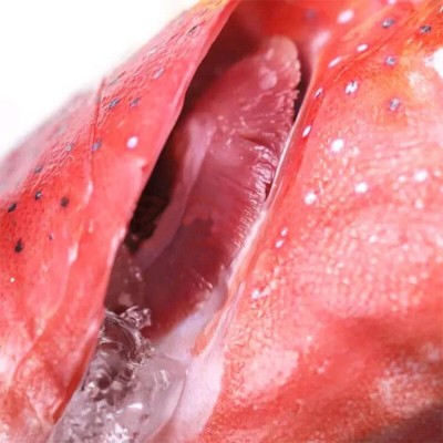 批发东星斑生猛鲜活急冻供应酒店餐饮深海老虎斑鱼酒席三去抽真空图4