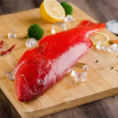 批发东星斑生猛鲜活急冻供应酒店餐饮深海老虎斑鱼酒席三去抽真空图2