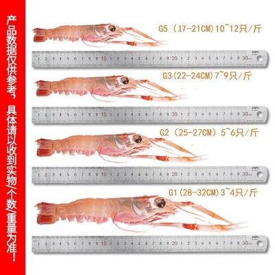 批发国产鳌虾刺身海鳌虾鲜活冷冻海鲜螯虾非新西兰鳌虾日料店同款图4