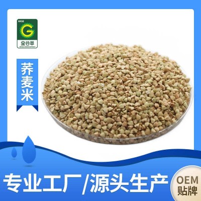 荞麦米五谷杂粮荞麦仁袋装500g三角麦甜荞麦内蒙荞麦米批发供应