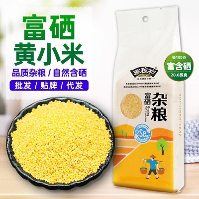 富硒小米批发 黄小米真空袋装月子小黄米优质五谷杂粮山西黄小米