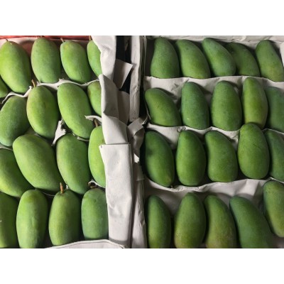 广西金煌芒果当季新鲜水果10斤水仙芒当季热带水果大青甜心芒整箱图1