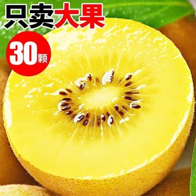 四川黄心猕猴桃新鲜水果包邮当季奇异果大果弥猴桃应季整箱泥猴桃图2