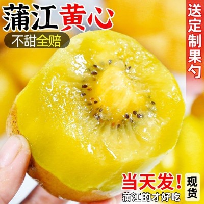 四川黄心猕猴桃新鲜水果包邮当季奇异果大果弥猴桃应季整箱泥猴桃图3