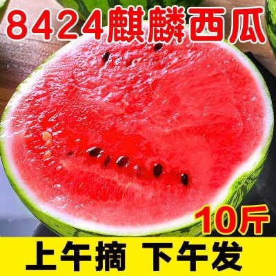 西瓜现摘现发云南麒麟新鲜应季水果一整箱包邮薄皮大西瓜一件批发图2