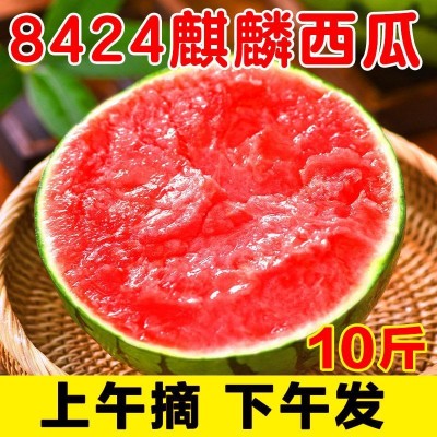 西瓜现摘现发云南麒麟新鲜应季水果一整箱包邮薄皮大西瓜一件批发图3