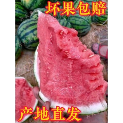 西瓜甜新鲜冰糖麒麟甘甜多汁当季皮薄无籽产地现摘包邮批发跨境图4
