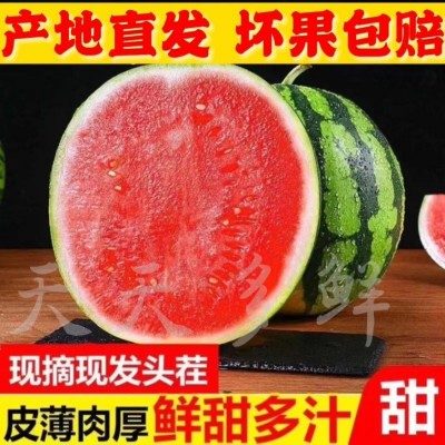 西瓜甜新鲜冰糖麒麟甘甜多汁当季皮薄无籽产地现摘包邮批发跨境