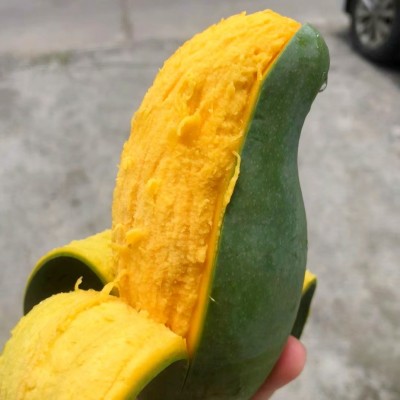 广西百色田东桂七芒当季热带新鲜水果甜心青皮芒果整箱礼盒装图3