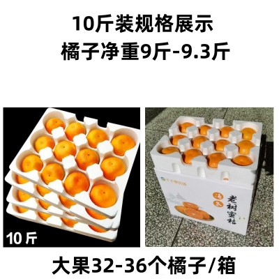 临海涌泉蜜桔新鲜橘子薄皮当季水果蜜橘浙江桔子代发图5