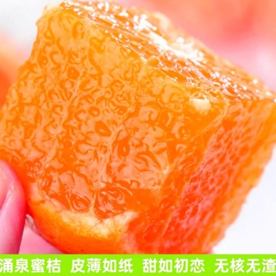 临海涌泉蜜桔新鲜橘子薄皮当季水果蜜橘浙江桔子代发图1