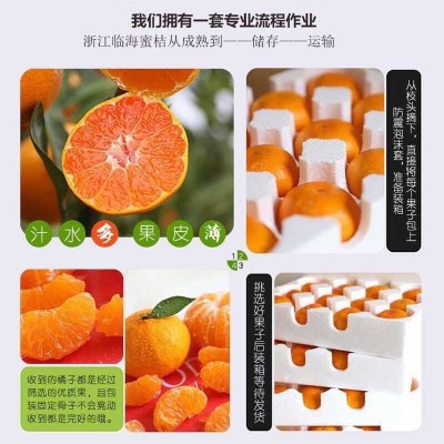 临海涌泉蜜桔新鲜橘子薄皮当季水果蜜橘浙江桔子代发图3