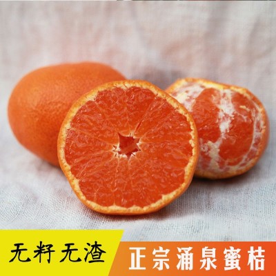 正宗临海涌泉蜜桔无核薄皮桔子当季新鲜蜜橘水果现摘现发图3