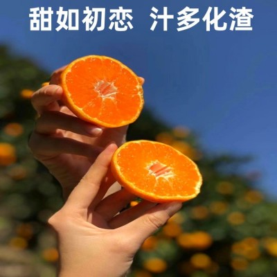 正宗临海涌泉蜜桔无核薄皮桔子当季新鲜蜜橘水果现摘现发图2