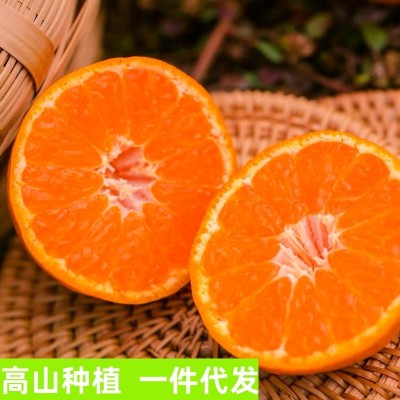 正宗临海涌泉蜜桔无核薄皮桔子当季新鲜蜜橘水果现摘现发图4