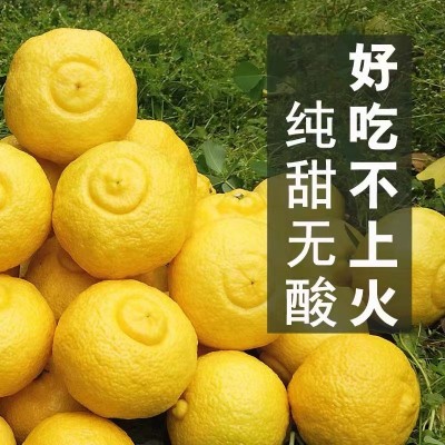 春香柚橘子当季新鲜象山青整箱当季黄金贡柚春香柚小柚子10斤甜桔图3