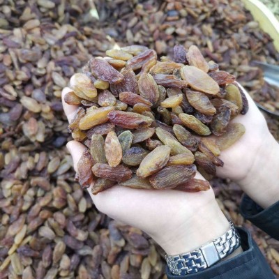 新疆葡萄干吐鲁番特产大颗粒红香妃提子干饱满健康无添加一件批发图5