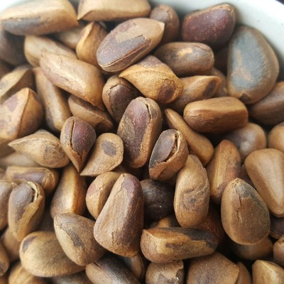 新原味东北伊春野生开口大红松子坚果休闲零食手剥新炒香脆现炒图3
