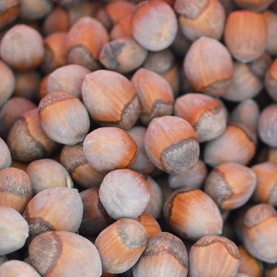 新货榛子东北野生榛子不开口虎皮榛果炒制 坚果干果图1