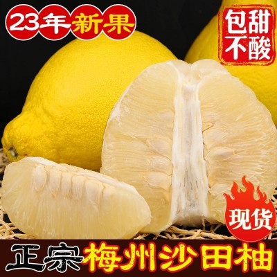 当季水果甜梅州沙田柚新鲜梅县金柚子批发白心肉小容县厂家直销图3