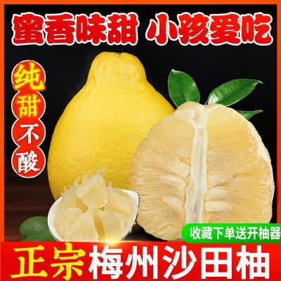 当季水果甜梅州沙田柚新鲜梅县金柚子批发白心肉小容县厂家直销图4