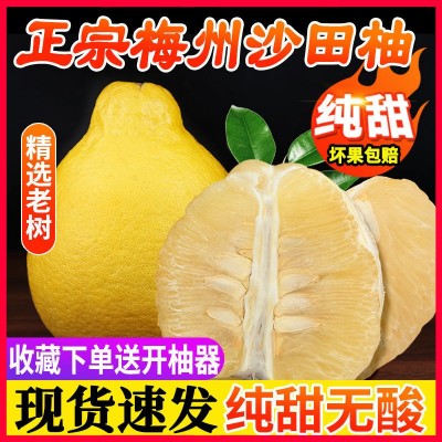 当季水果甜梅州沙田柚新鲜梅县金柚子批发白心肉小容县厂家直销图2