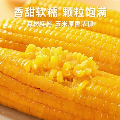 香糯玉米10支装东北真空包装黄糯玉棒早餐代餐即食粘玉米熟黏玉米图4