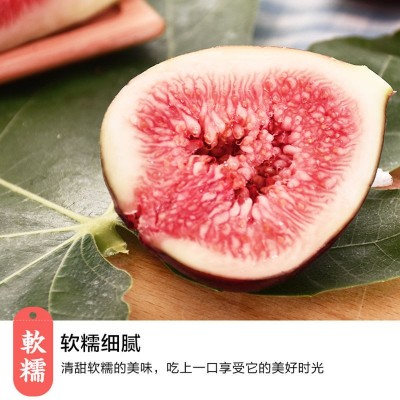 无花果 新鲜果顺丰包邮水果品仙奶浆鲜果孕妇水果非无花果干代发图3