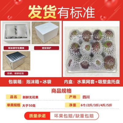无花果 新鲜果顺丰包邮水果品仙奶浆鲜果孕妇水果非无花果干代发图2