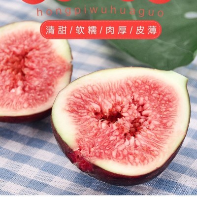 无花果 新鲜果顺丰包邮水果品仙奶浆鲜果孕妇水果非无花果干代发图4