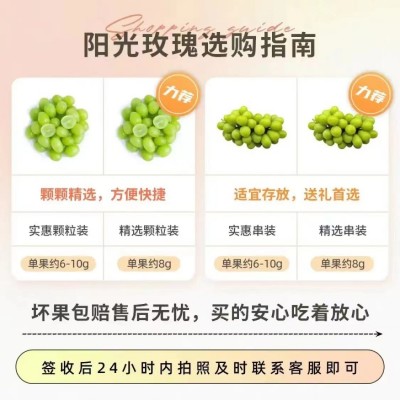 【产地直发】晴王阳光玫瑰葡萄鲜果无籽青提新鲜水果应季水果现货图4