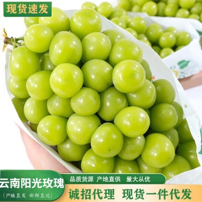 【产地直发】晴王阳光玫瑰葡萄鲜果无籽青提新鲜水果应季水果现货图1