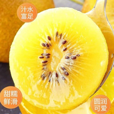 四川黄心猕猴桃批发当季新鲜水果奇异果弥胡桃非绿心非红心