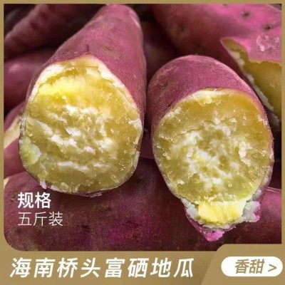 【】海南澄迈沙地桥头富硒地瓜新鲜红薯桥沙板栗薯/0包邮图4