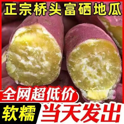 【】海南澄迈沙地桥头富硒地瓜新鲜红薯桥沙板栗薯/0包邮图1