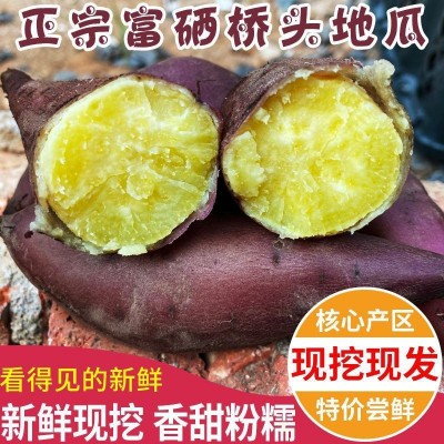 【】海南澄迈沙地桥头富硒地瓜新鲜红薯桥沙板栗薯/0包邮图2