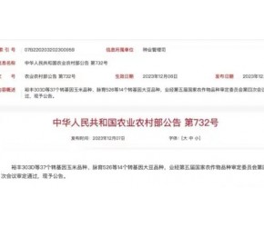 "转基因技术：农业生产的新机遇与争议"