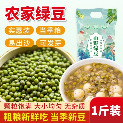 山野源粮绿豆 新鲜农家绿豆 粮油颗粒饱满肉多皮薄500g真空袋绿豆